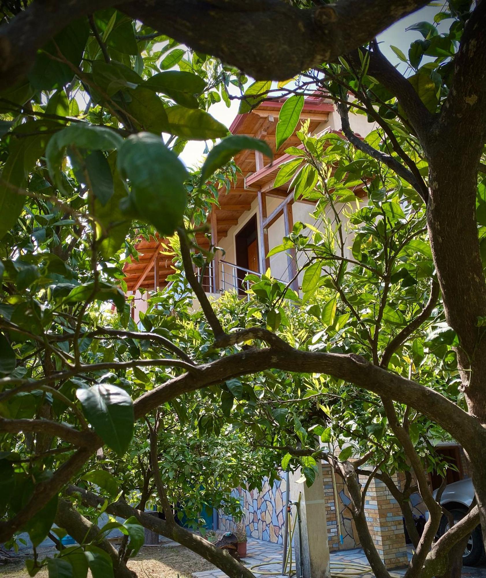 Villa Berat Exterior photo